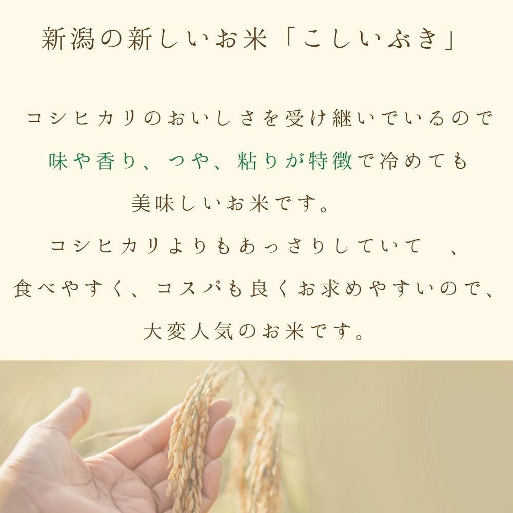 【限定クーポンで20%OFF】【受注精米】 送料無料 【 新潟県産 こしいぶき 】 お米 5kg (5キロ) 米 新潟 令和3年産 ブランド 新潟米