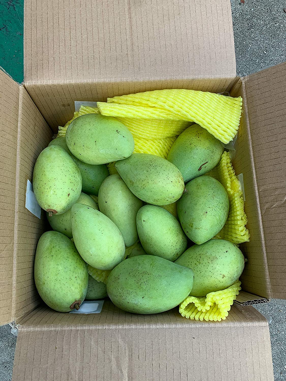 ベトナム産 カッチュー種 グリーンマンゴー 1Kg (2-5玉) XOAI XANH CAT CHU VIETNAM 1Kg (2-5qua)