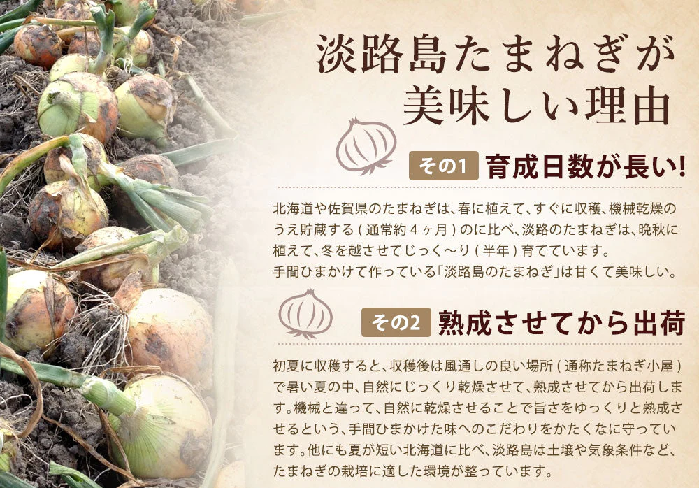 【タイムセール】30本入り(30食分) 淡路島たまねぎスープ