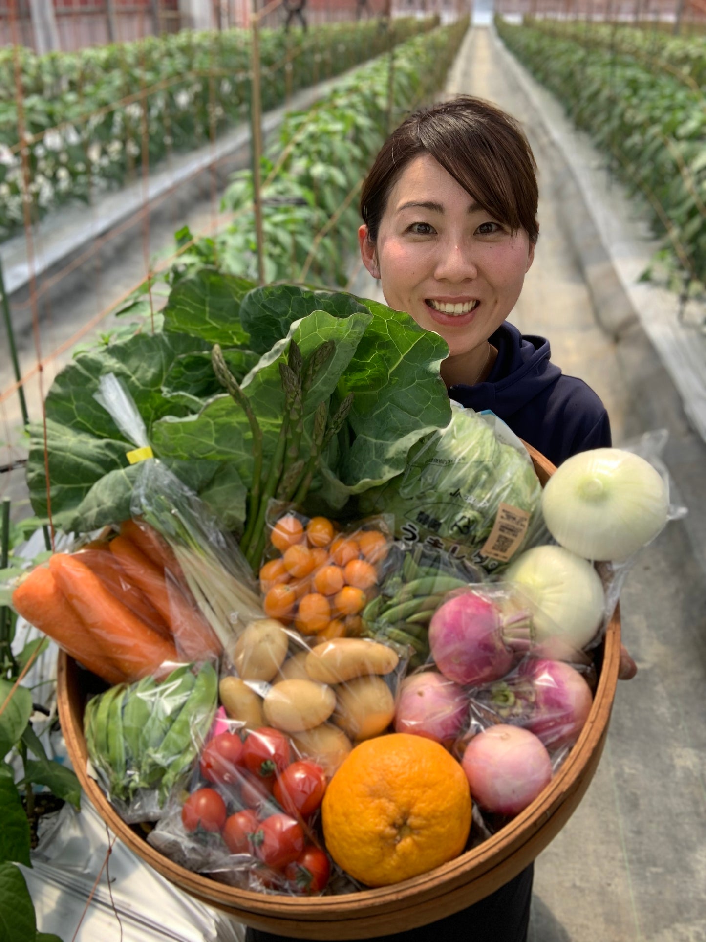 C静岡厳選野菜セット 12~14品