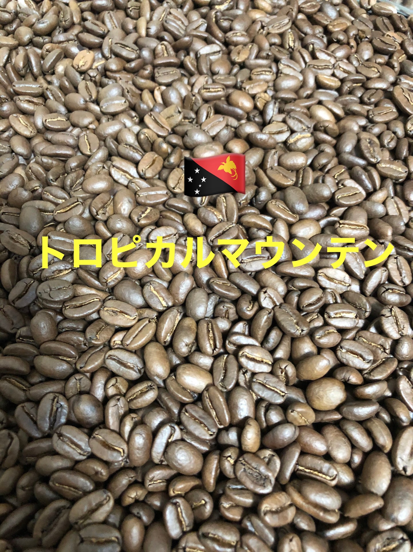 500g(250g×2)スペシャルティコーヒー豆「トロピカルマウンテン(粉)」