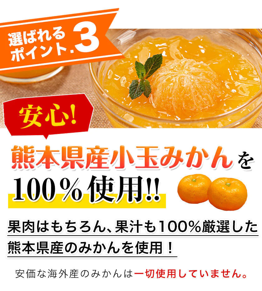 まるごと みかんゼリー フルーツギフト 熊本 小玉みかん 使用 ミカンゼリー 送料無料 果物 スイーツ セット おしゃれ かわいい《7-14営業日以内に発送予定(土日祝日除く)》