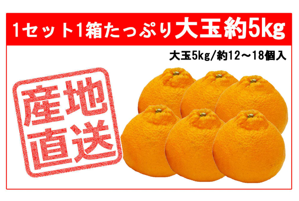 不知火 (デコポン) 5kg 大玉 送料無料 ご家庭用 箱買い みかん 柑橘 フルーツ 果物 産地直送 愛媛県産 YDF-009