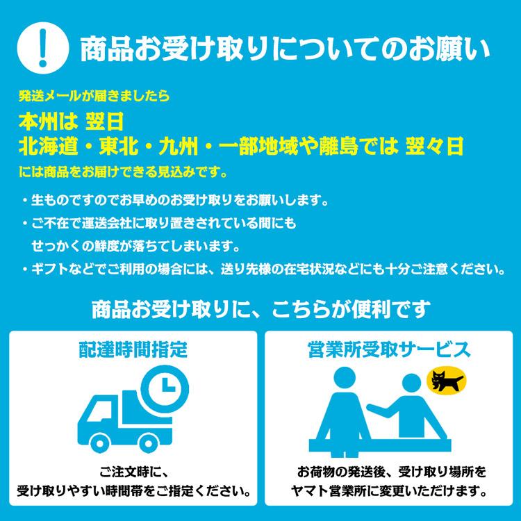 【※使わない方】さぬきひめ いちご 2パック 合計約520g 香川県産