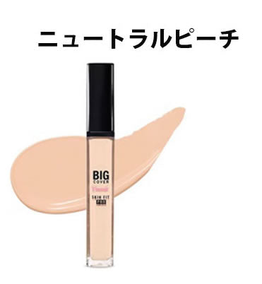 【ネコポス速達便】 ニュートラルピーチ ETUDE HOUSE エチュードハウス ビッグカバーフィットコンシーラー 7g コンシーラー 化粧下地 カバー 韓国コスメ 観光化粧品