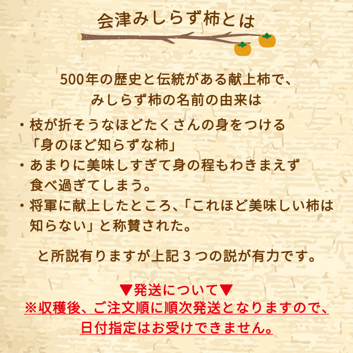 会津みしらず 御山柿 2.5kg (10~11玉入り)【特産品・ご当地特集】