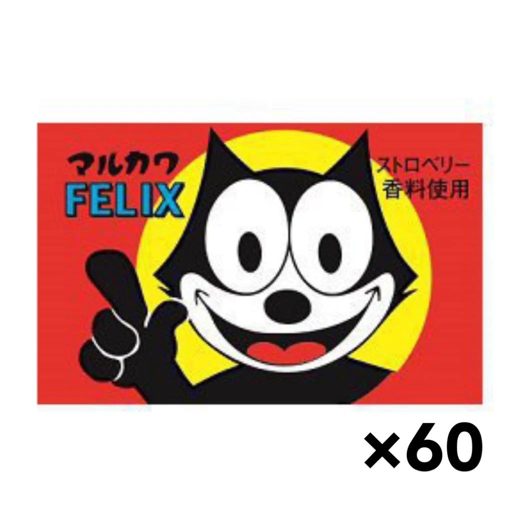 バラ売り フィリックスガム 60個 丸川製菓 ガム 駄菓子 ※