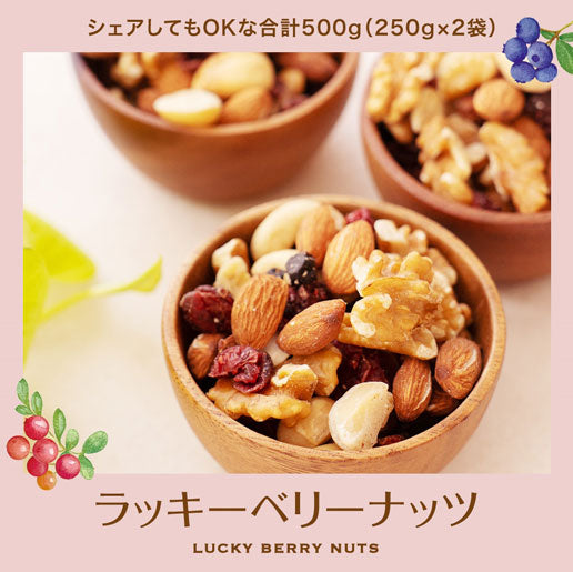 【3人シェア買いでお得】500g ラッキーベリーナッツ (250g×2) 無塩 ナッツ くるみ カシューナッツ アーモンド クランベリー ワイルドブルーベリー