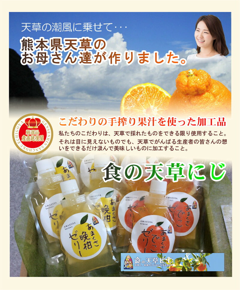 【フルーツ みかん 晩柑 調味料】熊本県 天草市 食の天草にじ天草ストレートジュース 180ml 2本晩柑・デコジュース各1本 専用箱入り送料無料【ミカン 果実 ギフト 贈答品】