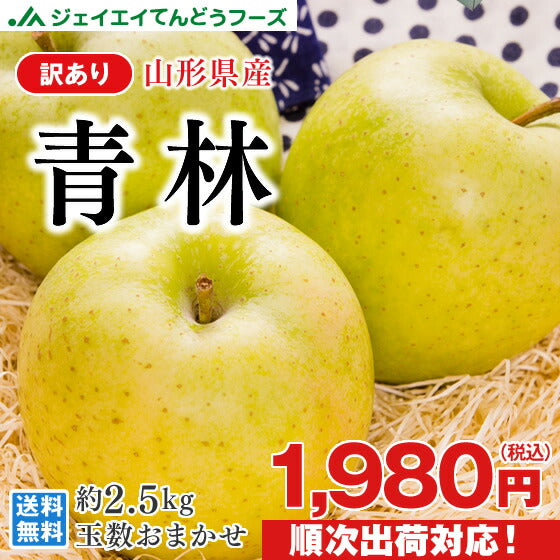 りんご 訳あり 送料無料 山形県産 青林 約2.5kg(玉数おまかせ) ※一部地域は別途送料追加 フルーツ 果物