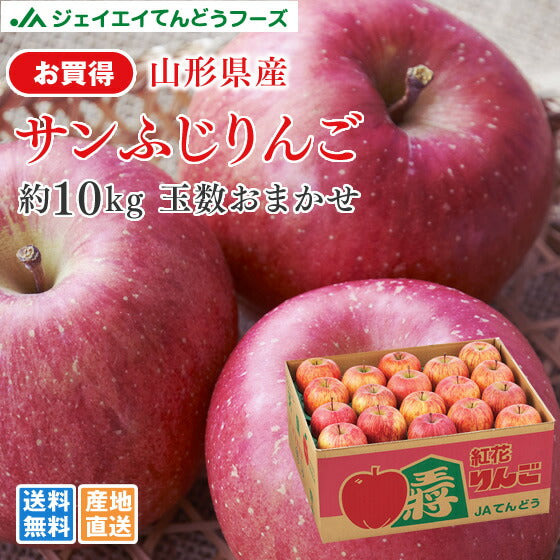 りんご お買い得 10kg 送料無料 山形県産 サンふじりんご 約10kg(28〜56玉) ※一部地域は別途送料追加 フルーツ 果物 ap16