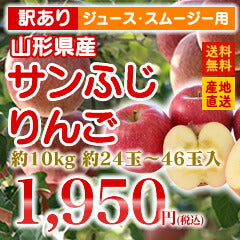 ≪訳あり★ジュース・スムージー専用≫山形県産サンふじりんご約10kg★約24玉〜56玉入り★【送料無料】※九州・沖縄・一部離島を除く