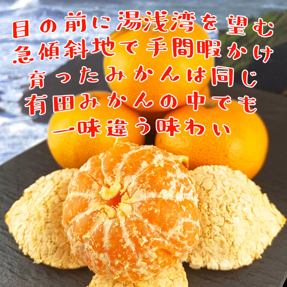 和歌山 有田 みかん 田口早生種 3kg 約30玉 甘い SMサイズ