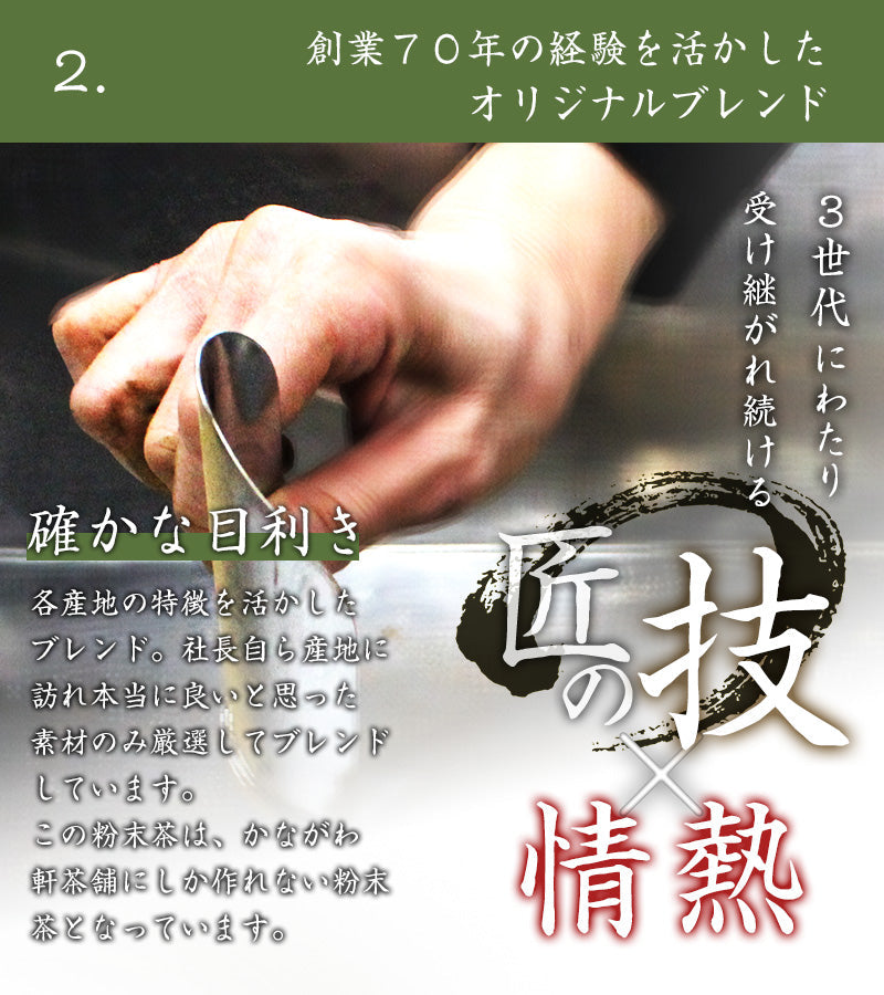 2g 100袋 煎茶 日本茶 お茶 ティーパック ティーバッグ