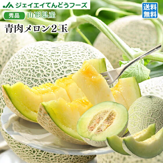 【7月上旬より順次出荷】予約商品山形県庄内産砂丘メロン2玉
