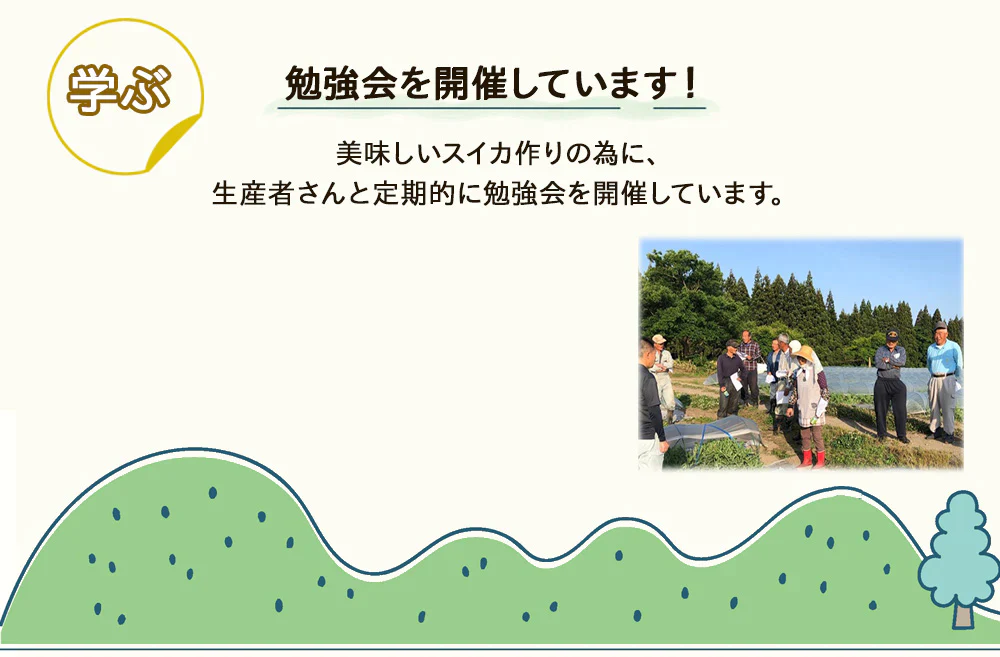 【予約販売7月下旬より順次出荷】尾花沢スイカ 1玉 山形県産 4L 5L スイカ すいか 送料無料 ギフト お取り寄せ 産地直送 kkb-008