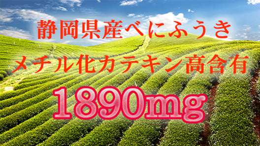 べにふうき 粉末 100g (静岡県産)緑茶「高濃度メチル化カテキン1890mg/100g」含有
