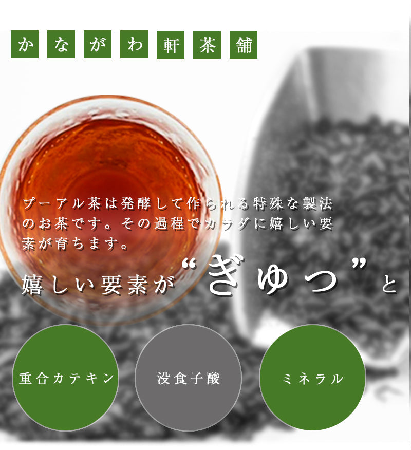 2g×50包 プーアル茶 ティーパック ティーバッグ