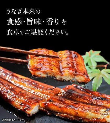 【送料無料】九州産 うなぎ 蒲焼 ウナギ 鰻 蒲焼 国内産 九州 土用の丑の日 お中元 ギフト タレ&山椒 《7-14営業日以内に出荷予定(土日祝日除く)》