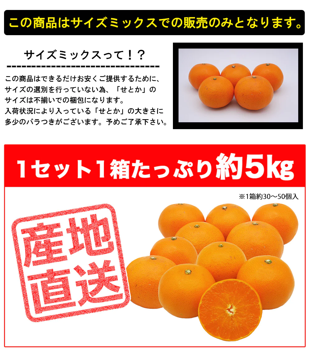 せとか みかん 5kg ミカン 蜜柑 サイズミックス 柑橘 フルーツ 果物 くだもの 箱買い 産地直送 愛媛県産 YDF-019