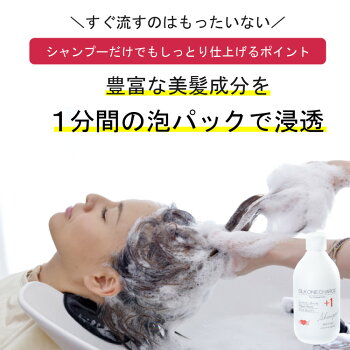 【美容室専売品】泡でパックする美容液シャンプー!プロ仕様 シルクワン チャージ シャンプー300ml & 詰め替え用500mlセット(合計800mlのお徳セット)◆美容室専売品 シャンプー ハホニコ ダメージヘア用