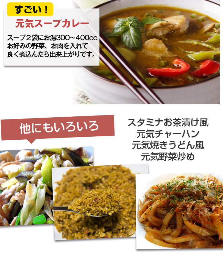 【限定クーポンで20%OFF】30食セット すごい元気カレースープ