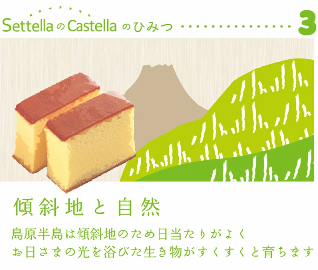 380g3本入 長崎カステラ