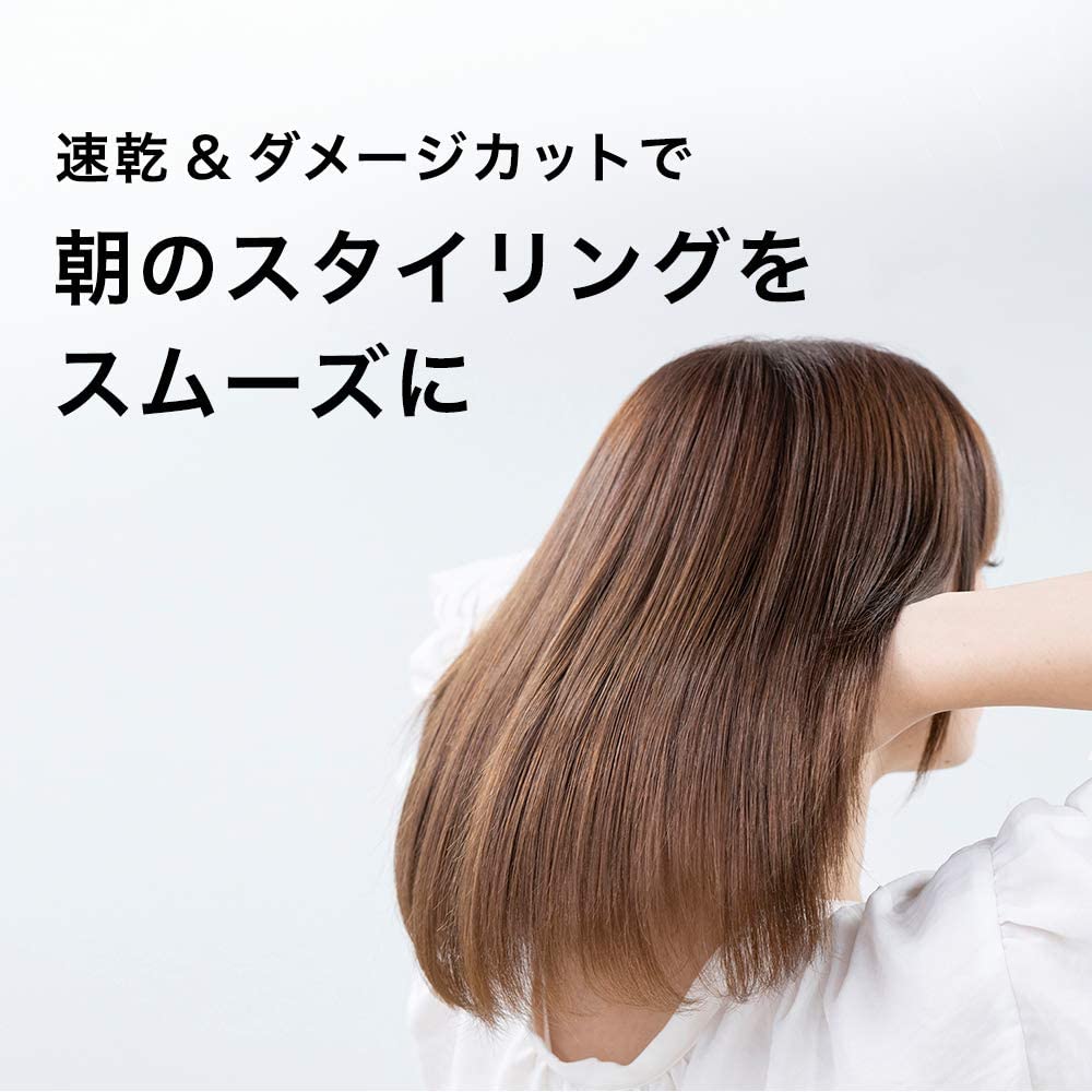 SALONIA サロニア スピーディーイオンドライヤー ホワイト ?SL-013WH