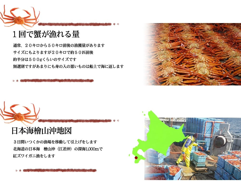 400g(15~20本入れ) 北海道産 冷凍生紅ズワイ蟹 南蛮付きポーション