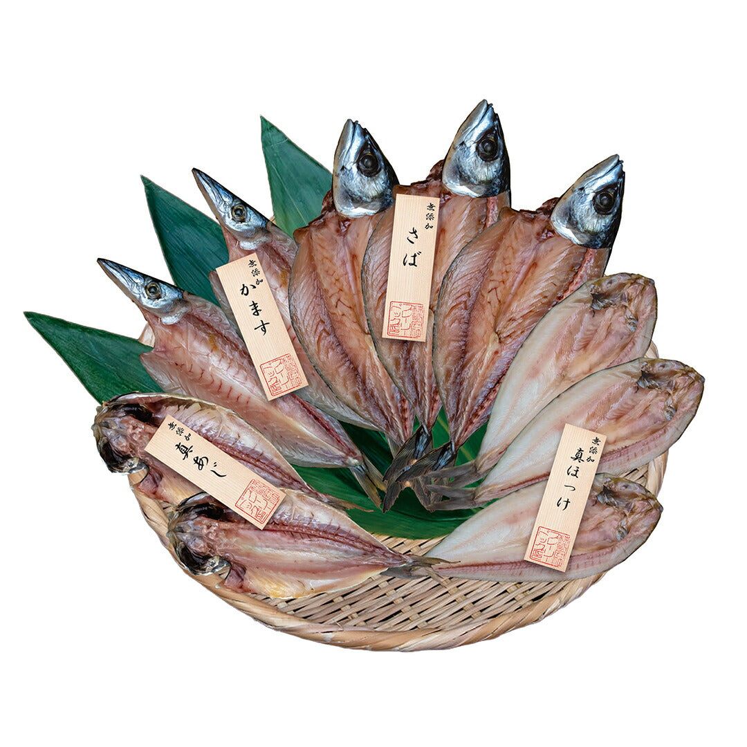 ★非掲載★五島灘の塩 国産無添加干物10尾詰合せ 長崎 魚 鯖 鯵 ほっけ かます おつまみ 酒の肴 お取り寄せ グルメ ギフト 贈り物 中元 歳暮 暑中 残暑 父 母 おかず ランキング 人気 詰め合わせ おすすめ ※代引不可