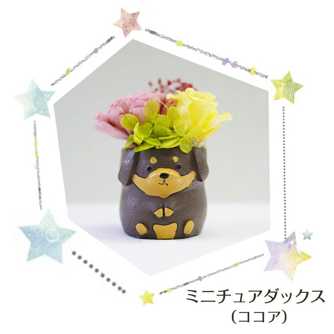 ★非掲載★ フラワー わんこ&にゃんこ フラワーアレンジ プリザーブドフラワー いぬ ねこ かわいい 手のり ミニチュア 小さい 動物 小物 飾り 置き物 バラ ソーラーローズ アジサイ かすみ草 ギフト 贈り物 誕生日