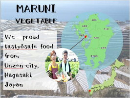 1050g マルニのまるゆで野菜グリルセット1