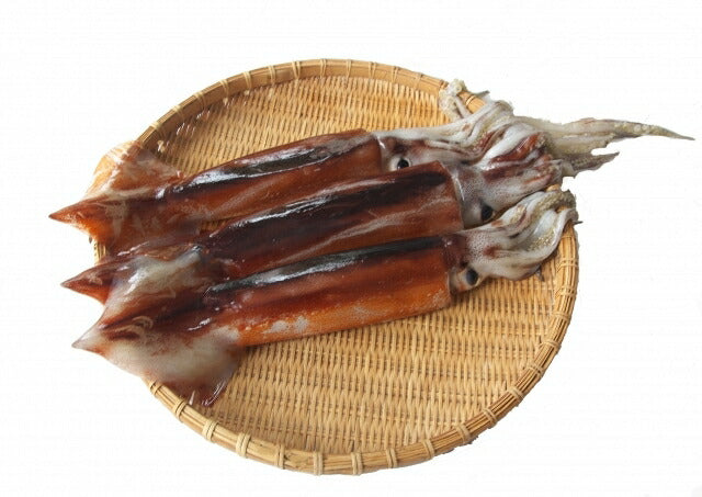 真いか一夜干し (1枚入り)野尻正武商店 北海道産 知床 自然遺産 お土産 ご飯のお供 肴 お酒 ビール おつまみ おかず お取り寄せ ギフト