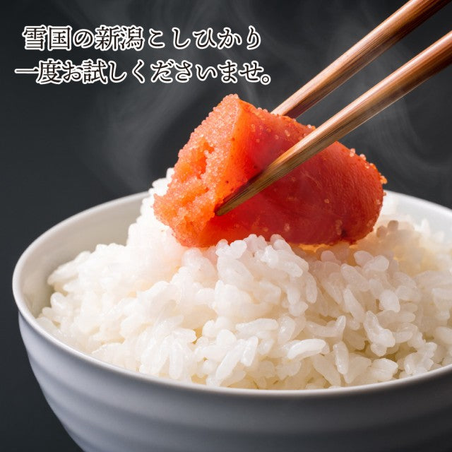 【お試し】令和3年産 新潟こしひかり 900g 真空パック
