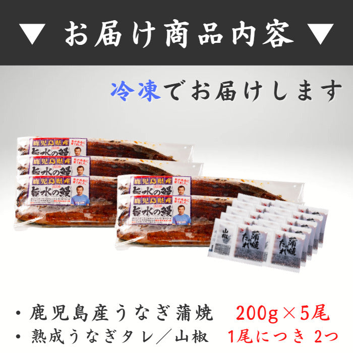 特大国産うなぎ蒲焼 200g×5尾