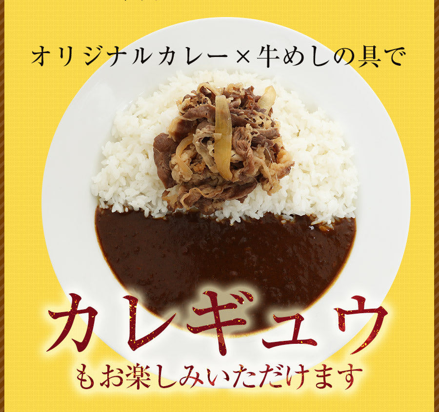 【10人シェア買いでお得】オリジナルカレー10個セット