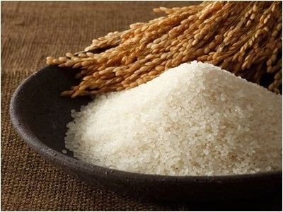 京丹後産 特別栽培米コシヒカリ5kg 玄米