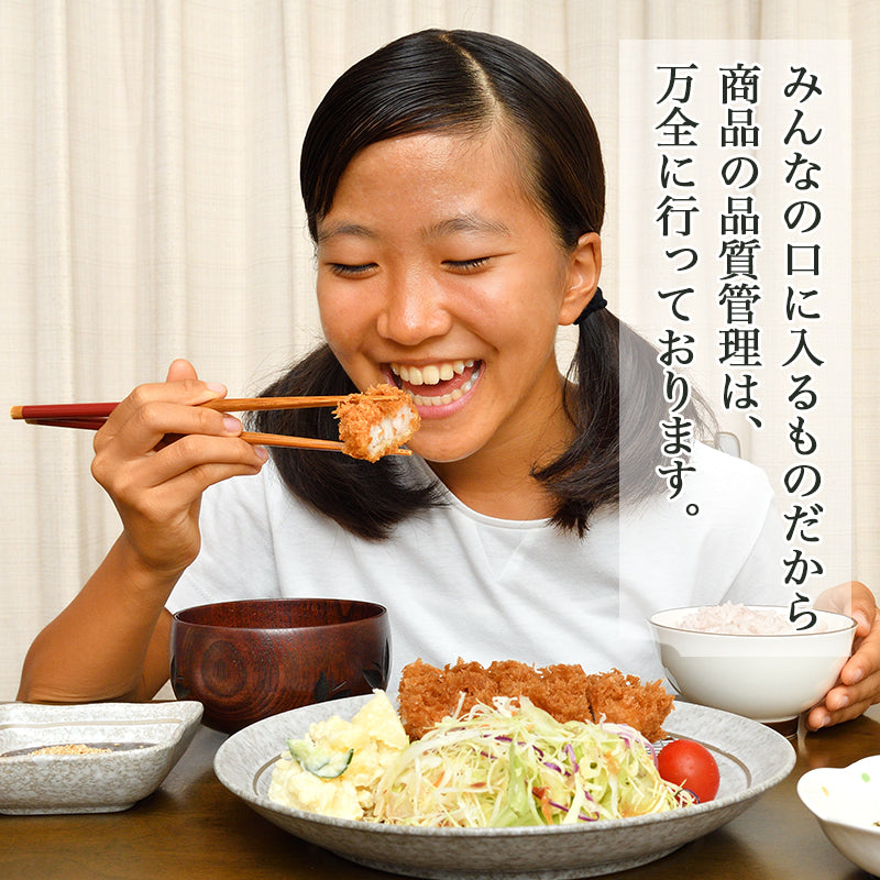 豚ロース 13kg 100g×10枚×13 トンカツ トンテキ カツ丼 生姜焼き 甘辛焼 送料無料 冷凍