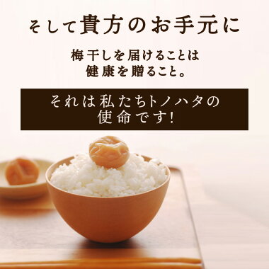 無添加 特選 紀州南高梅 なちゅら 塩分 9% 400g 減塩 しそ 昔ながらの梅干