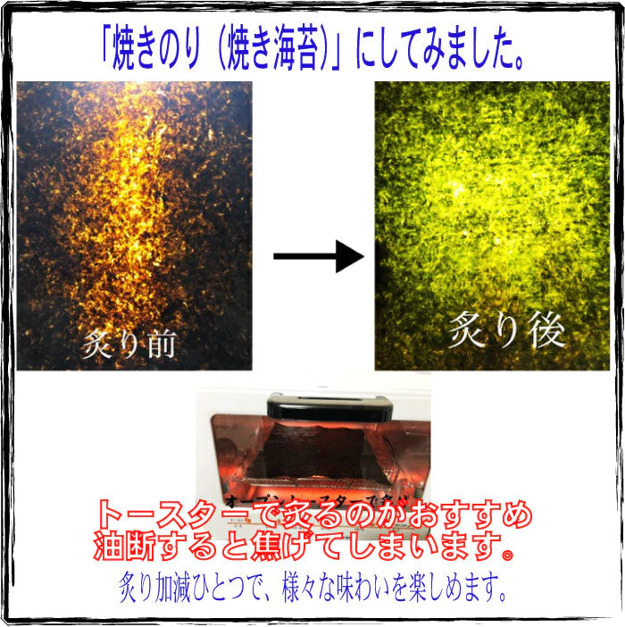 三重県 伊勢湾産 黒海苔 全型50枚 令和5年度 チャック付袋送料無料