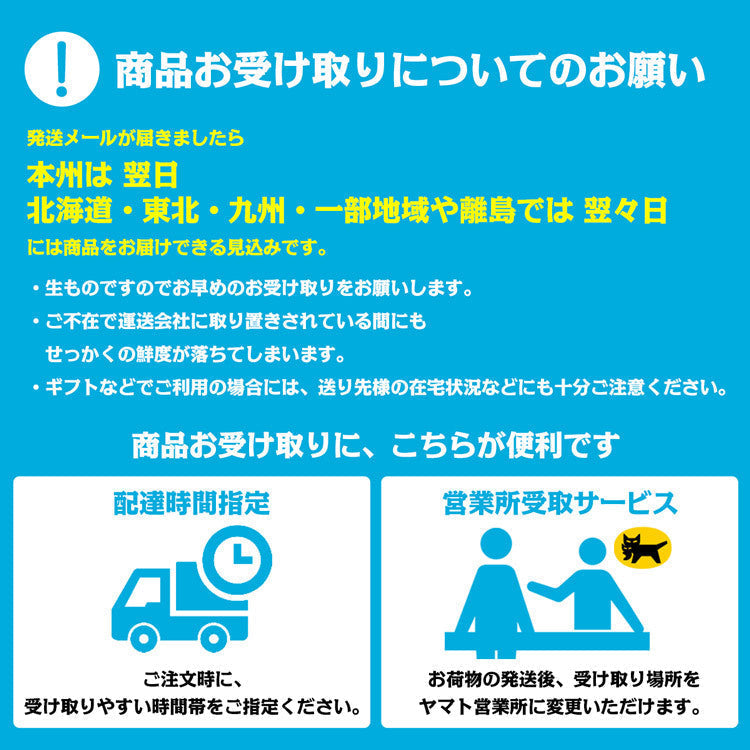 訳あり シャインマスカット 約1kg 2?3房 ご家庭用 お徳用 お買い得 ぶどう 産地厳選 贈答用 ブドウ 種無し 冷蔵便