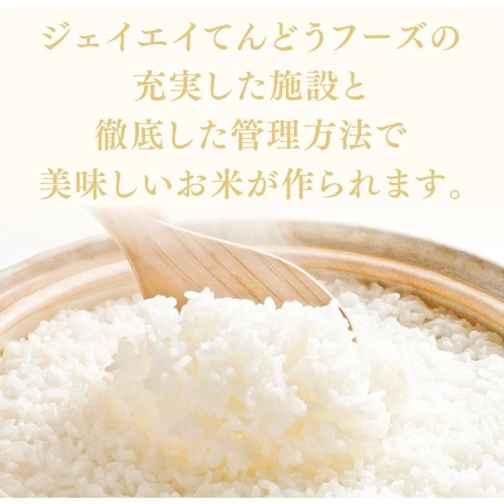 【山形県産米100%】 山形県産ブレンド米5kg×2【エコ得】