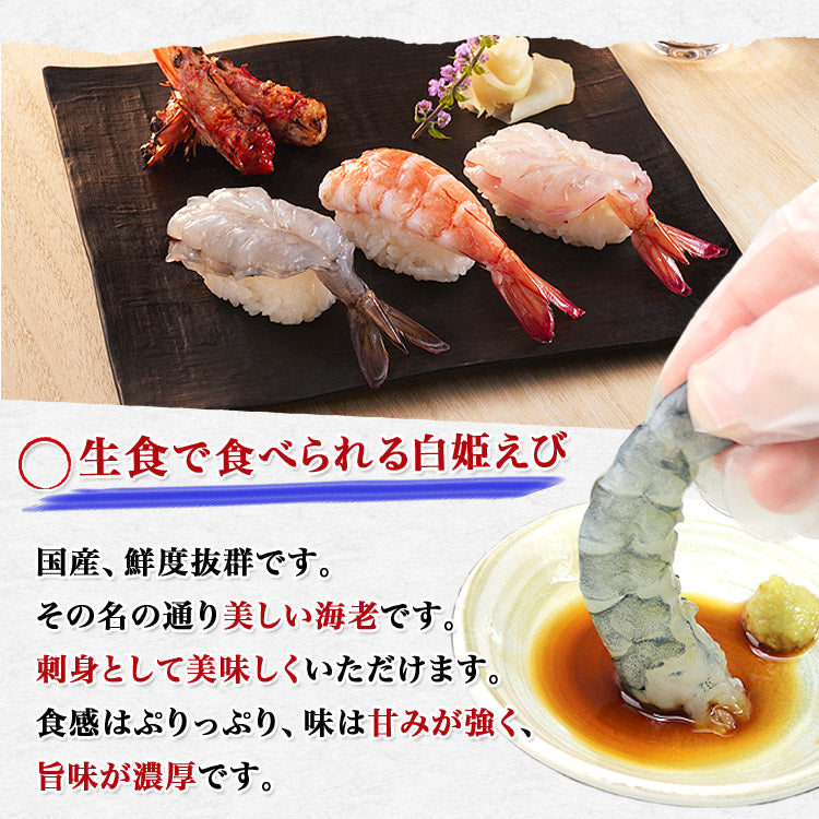 白姫えび500g 冷凍便 送料無料 しらひめ 海老 生食用 刺身 国産 お取り寄せグルメ 食品 ギフト 海鮮