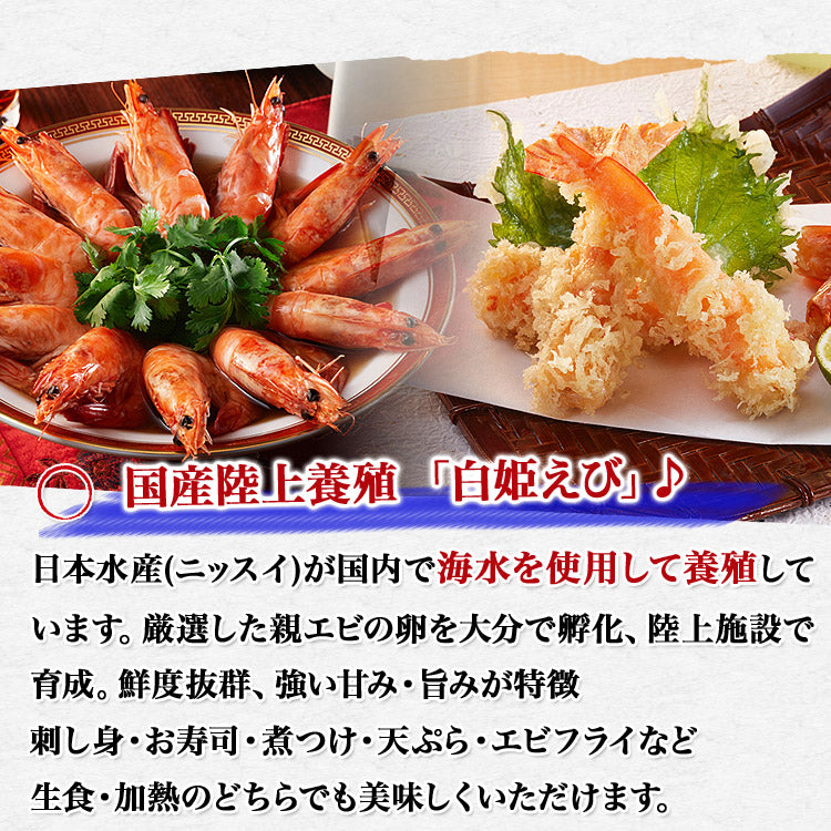 白姫えび500g 冷凍便 送料無料 しらひめ 海老 生食用 刺身 国産 お取り寄せグルメ 食品 ギフト 海鮮