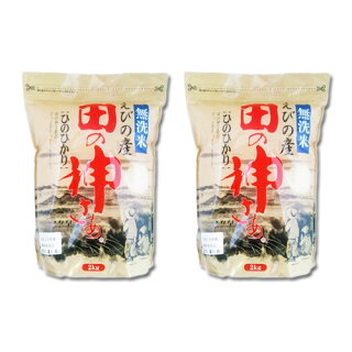 4kg (2kg×2袋) 令和2年産 無洗米 宮崎県えびの産 ヒノヒカリ