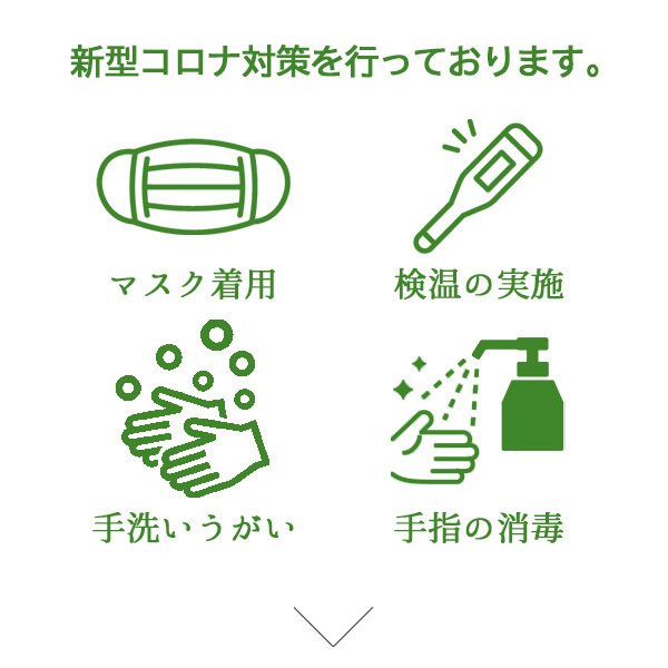 令和3年産 10kg はえぬき 山形県産 お米 10kg 送料無料 精米 白米 5kg×2袋