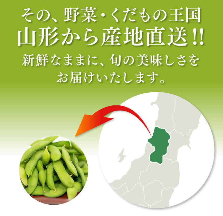送料無料 枝豆 山形県庄内産だだちゃ豆約1kg※一部地域は別途送料追加