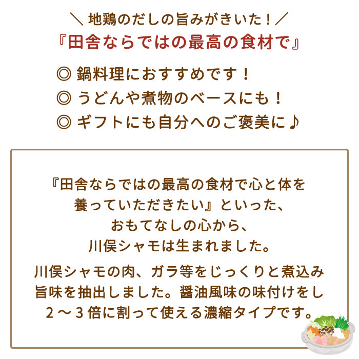 地鶏スープ×3袋 *【特産品・ご当地特集】
