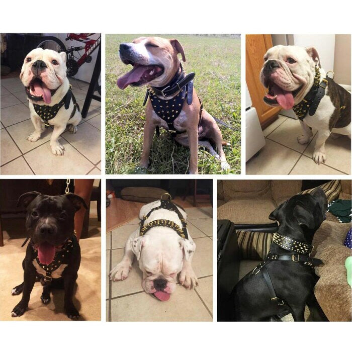 ハーネス 犬用 ブラック スタッズ トゲトゲ ワイルド スパイク チョーカー バックル 調節 ベルト ペット 安全 散歩 中型犬 大型犬 かっこいい おしゃれ 個性的 リード