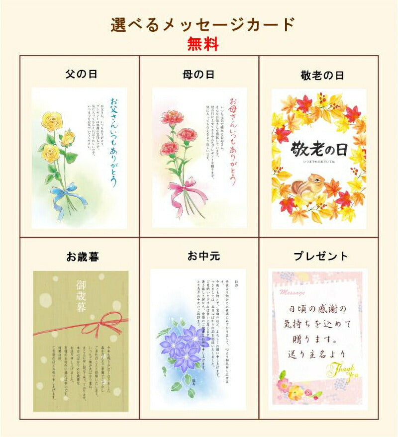 【送料込み】善光寺蕎麦 信州善光寺門前 そば処やぶ蕎麦半生そば6束(660g)つゆ86g 6袋付